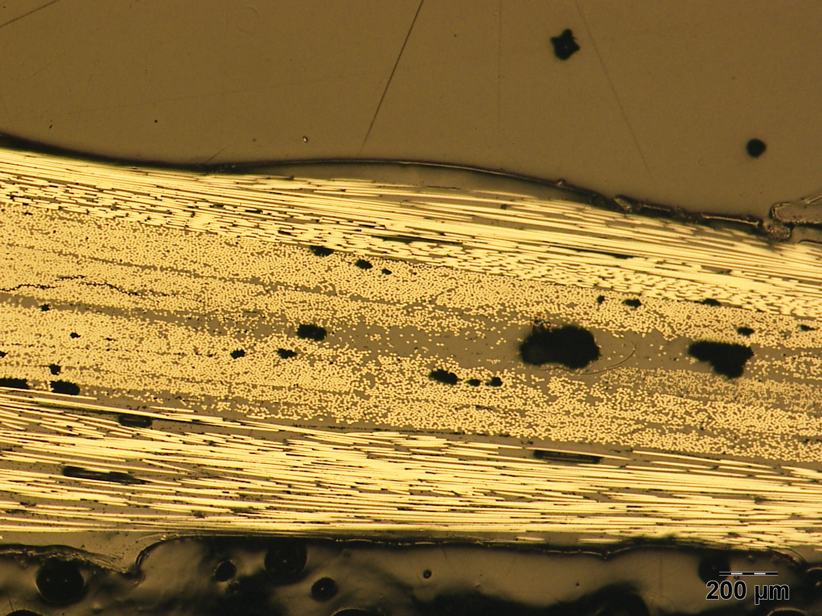 micrografia