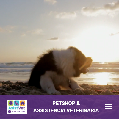 Veterinaria